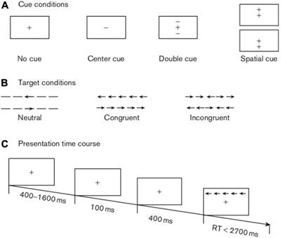 Propofol Versus Sevoflurane General Anaesthesia for Selective Impairment of Attention Networks After Gynaecological Surgery in Middle-Aged Women: A Randomised Controlled Trial